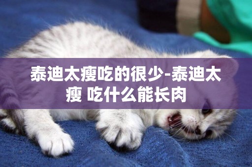 泰迪太瘦吃的很少-泰迪太瘦 吃什么能長肉