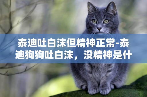 泰迪吐白沫但精神正常-泰迪狗狗吐白沫，沒精神是什么原因？