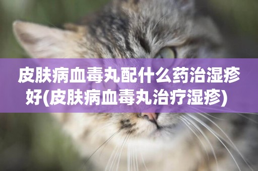 皮膚病血毒丸配什么藥治濕疹好(皮膚病血毒丸治療濕疹) 