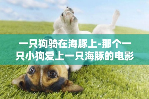 一只狗騎在海豚上-那個一只小狗愛上一只海豚的電影叫什么名字去了？