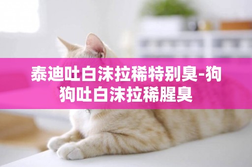 泰迪吐白沫拉稀特別臭-狗狗吐白沫拉稀腥臭