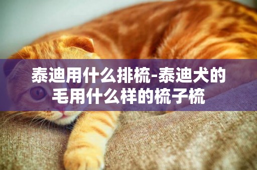 泰迪用什么排梳-泰迪犬的毛用什么樣的梳子梳