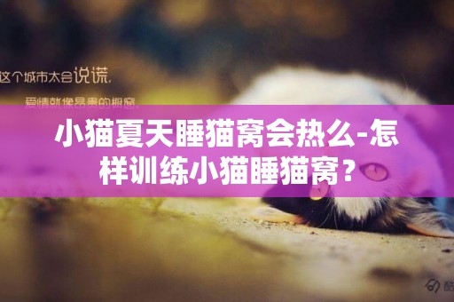 小貓夏天睡貓窩會熱么-怎樣訓練小貓睡貓窩？