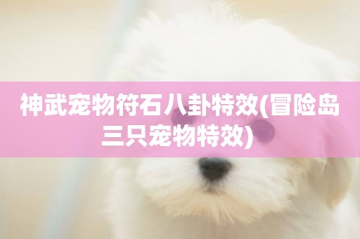神武寵物符石八卦特效(冒險島三只寵物特效) 