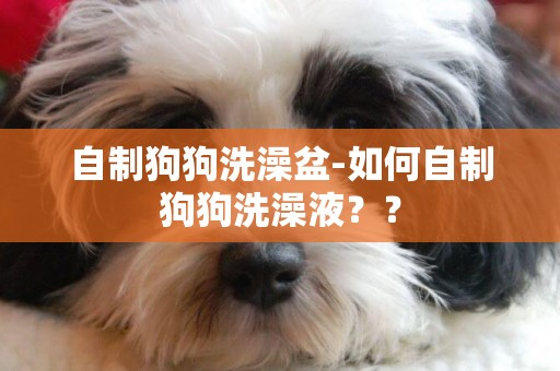 自制狗狗洗澡盆-如何自制狗狗洗澡液？？