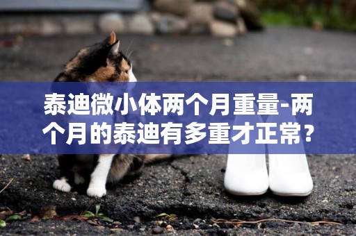 泰迪微小體兩個月重量-兩個月的泰迪有多重才正常？