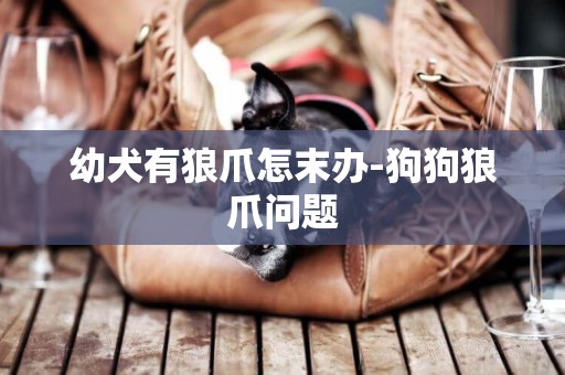 幼犬有狼爪怎末辦-狗狗狼爪問題