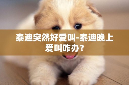 泰迪突然好愛叫-泰迪晚上愛叫咋辦？