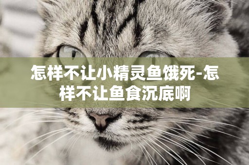 怎樣不讓小精靈魚餓死-怎樣不讓魚食沉底啊