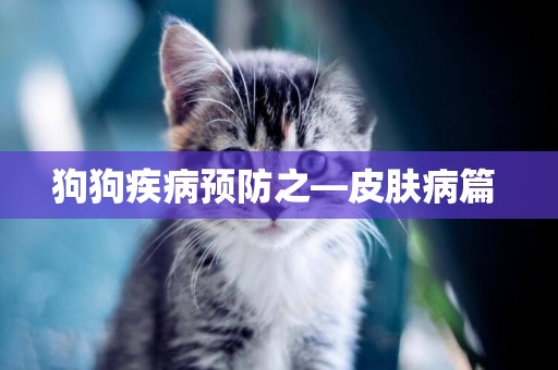 狗狗疾病預防之—皮膚病篇 
