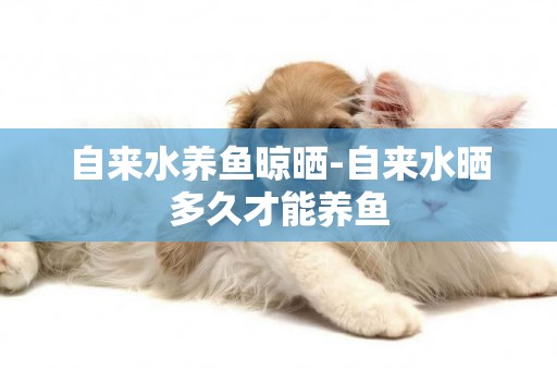自來水養魚晾曬-自來水曬多久才能養魚