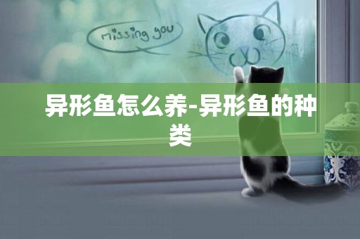 異形魚怎么養-異形魚的種類