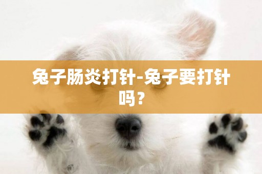 兔子腸炎打針-兔子要打針嗎？