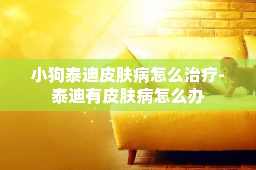 小狗泰迪皮膚病怎么治療-泰迪有皮膚病怎么辦