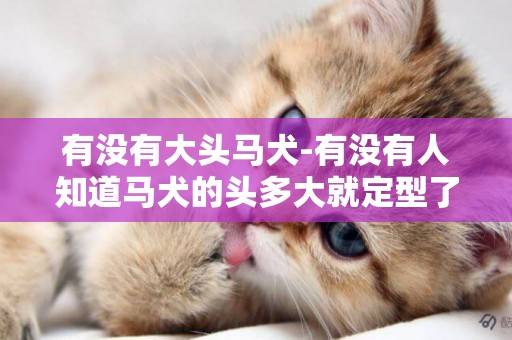 有沒有大頭馬犬-有沒有人知道馬犬的頭多大就定型了