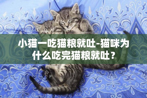 小貓一吃貓糧就吐-貓咪為什么吃完貓糧就吐？