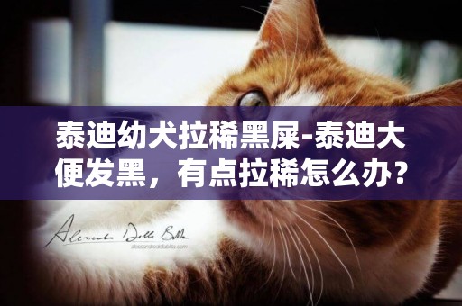 泰迪幼犬拉稀黑屎-泰迪大便發黑，有點拉稀怎么辦？
