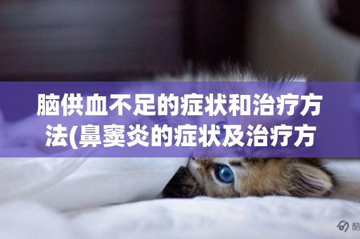 腦供血不足的癥狀和治療方法(鼻竇炎的癥狀及治療方法) 