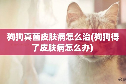 狗狗真菌皮膚病怎么治(狗狗得了皮膚病怎么辦) 