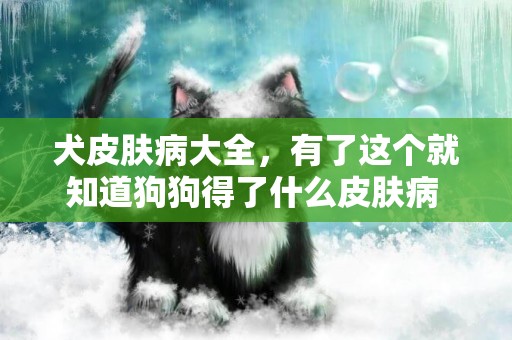 犬皮膚病大全，有了這個就知道狗狗得了什么皮膚病 