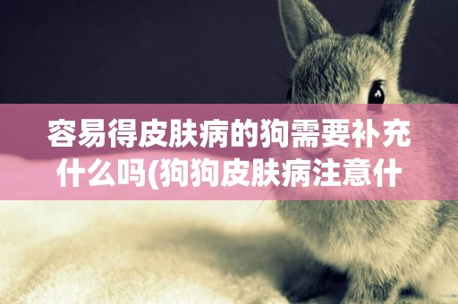 容易得皮膚病的狗需要補充什么嗎(狗狗皮膚病注意什么) 