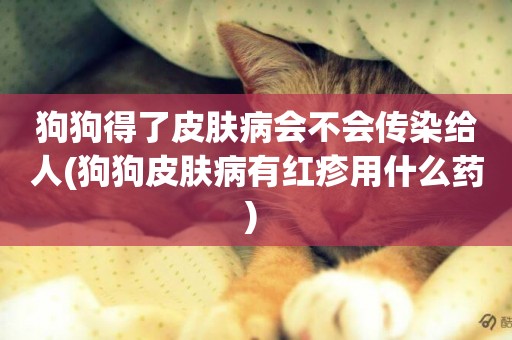 狗狗得了皮膚病會不會傳染給人(狗狗皮膚病有紅疹用什么藥) 
