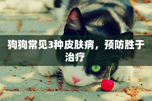 狗狗常見3種皮膚病，預防勝于治療 