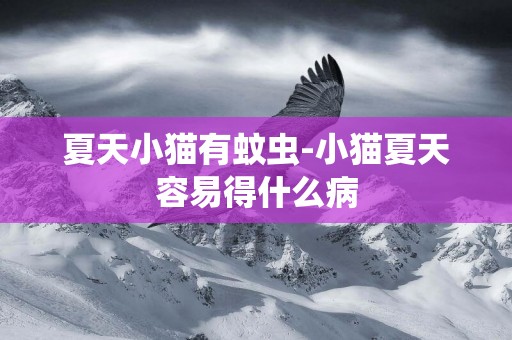 夏天小貓有蚊蟲-小貓夏天容易得什么病