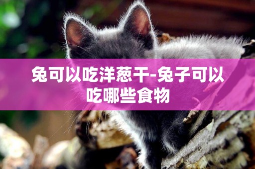 兔可以吃洋蔥干-兔子可以吃哪些食物