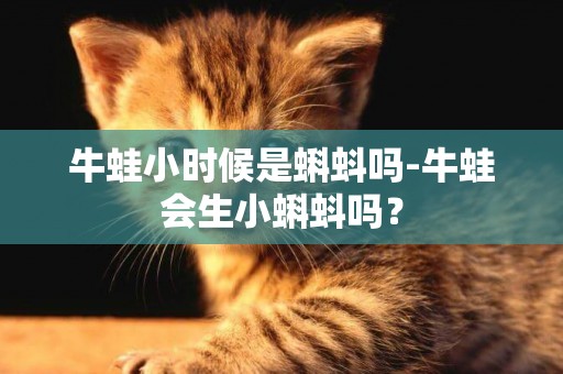 牛蛙小時候是蝌蚪嗎-牛蛙會生小蝌蚪嗎？