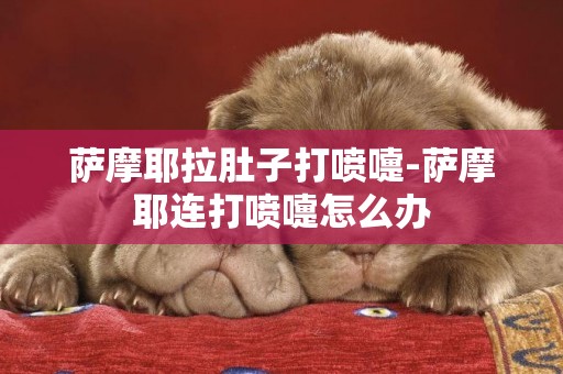 薩摩耶拉肚子打噴嚏-薩摩耶連打噴嚏怎么辦