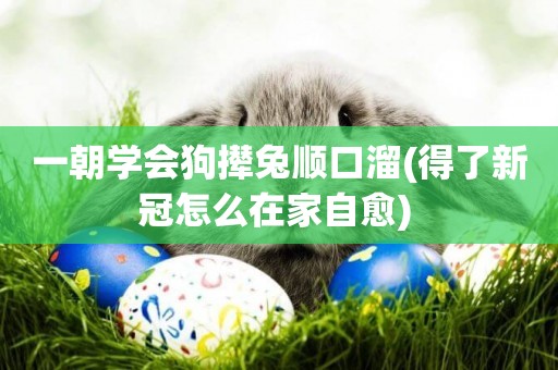 一朝學會狗攆兔順口溜(得了新冠怎么在家自愈) 