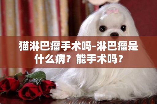 貓淋巴瘤手術嗎-淋巴瘤是什么病？能手術嗎？