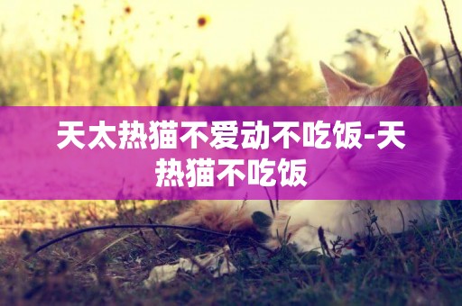 天太熱貓不愛動不吃飯-天熱貓不吃飯