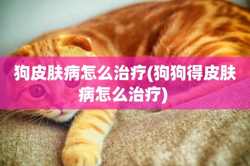狗皮膚病怎么治療(狗狗得皮膚病怎么治療) 