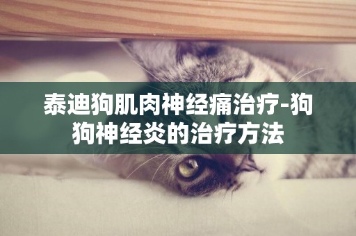 泰迪狗肌肉神經痛治療-狗狗神經炎的治療方法