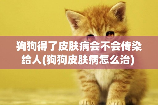 狗狗得了皮膚病會不會傳染給人(狗狗皮膚病怎么治) 