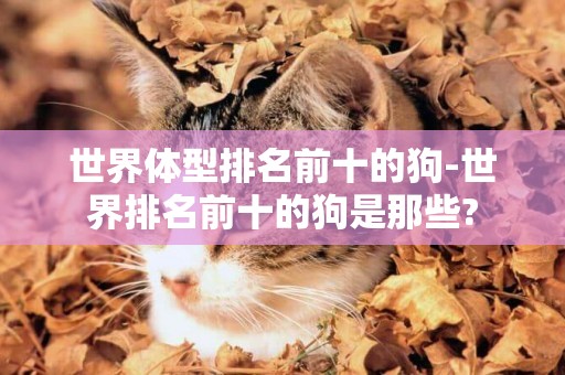 世界體型排名前十的狗-世界排名前十的狗是那些?