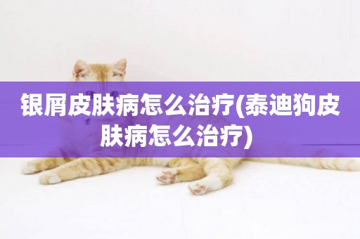 銀屑皮膚病怎么治療(泰迪狗皮膚病怎么治療) 