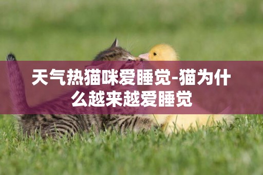天氣熱貓咪愛睡覺-貓為什么越來越愛睡覺