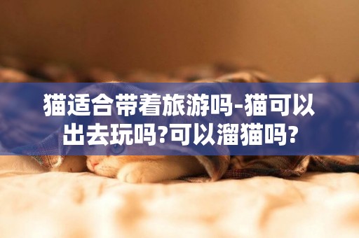 貓適合帶著旅游嗎-貓可以出去玩嗎?可以溜貓嗎?