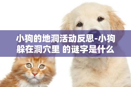 小狗的地洞活動反思-小狗躲在洞穴里 的謎字是什么