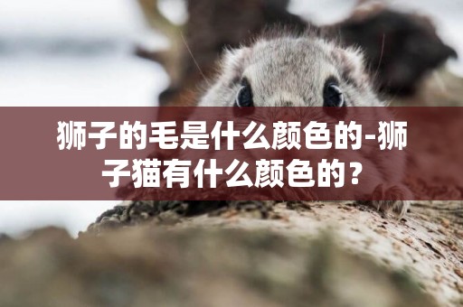 獅子的毛是什么顏色的-獅子貓有什么顏色的？