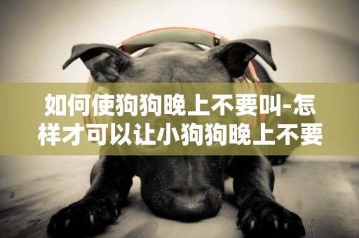如何使狗狗晚上不要叫-怎樣才可以讓小狗狗晚上不要叫？