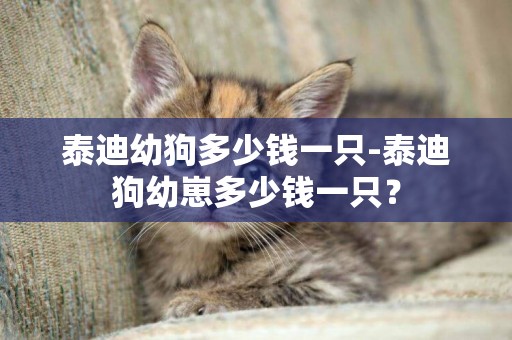 泰迪幼狗多少錢一只-泰迪狗幼崽多少錢一只？