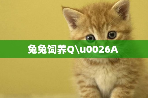兔兔飼養Q\u0026A 