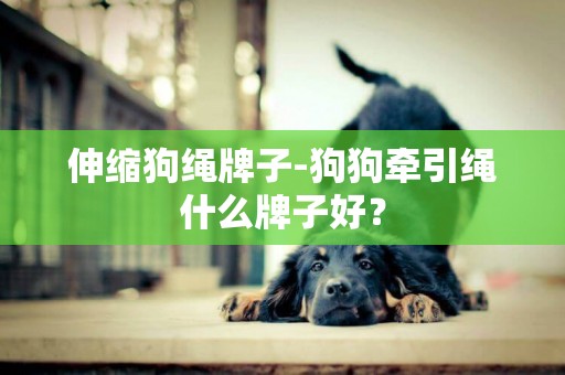伸縮狗繩牌子-狗狗牽引繩什么牌子好？