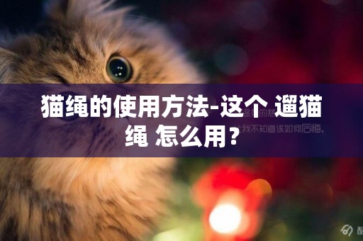 貓繩的使用方法-這個 遛貓繩 怎么用？