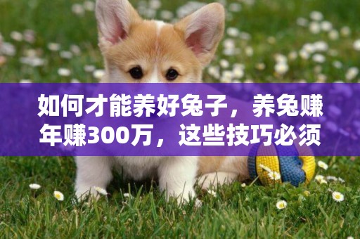 如何才能養好兔子，養兔賺年賺300萬，這些技巧必須看 