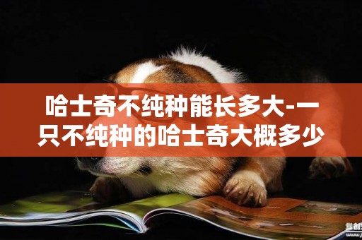 哈士奇不純種能長多大-一只不純種的哈士奇大概多少錢?